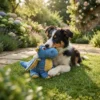 Dragon squeaky toy for dogs