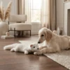 Goose Feather Squeaky Dog Chew Toy