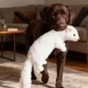 Interactive goose feather dog toy