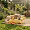 Yellow Duck Plush Dog Toy